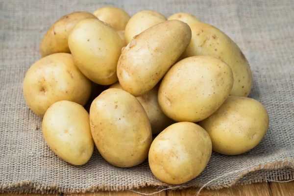 Сорт картофеля Королева Анна: особенности, посадка и уход