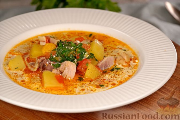 Куриный суп с овощами и сметаной